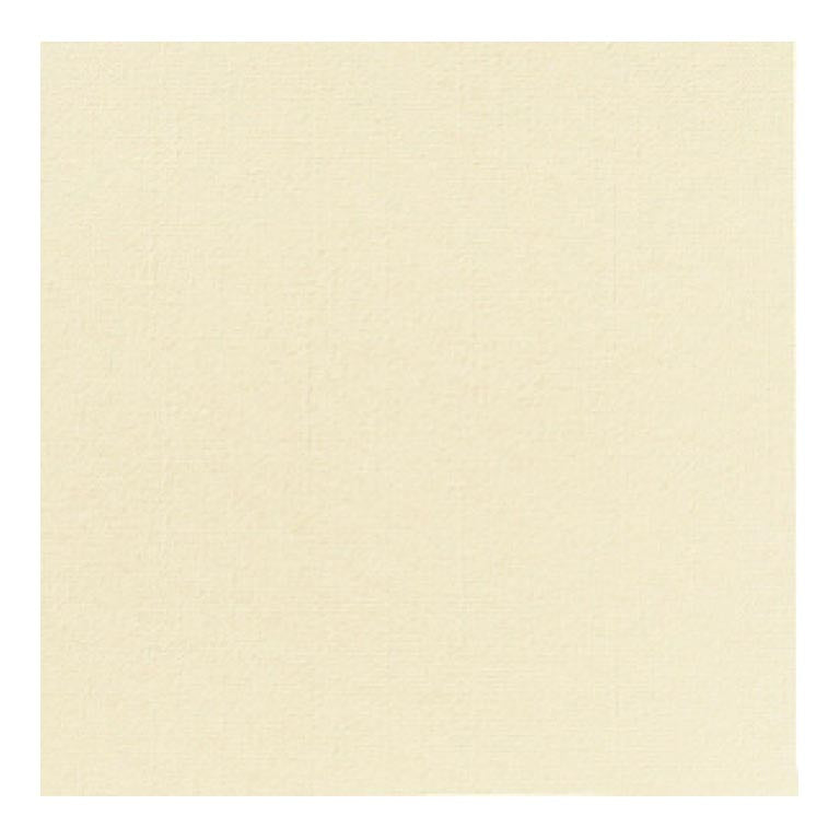 COPRIMACCHIA CHAMP DUNISOFT 50pz 100x100 (1 pz) COPRIMACCHIA DUNI 165056 CHAMPAGNE